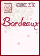bordeaux红酒2012