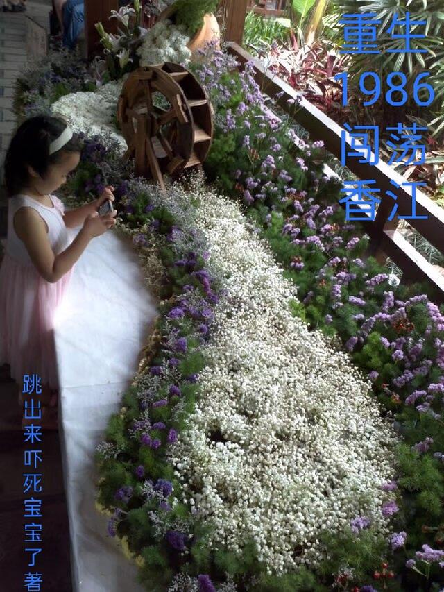 重生香港1986年
